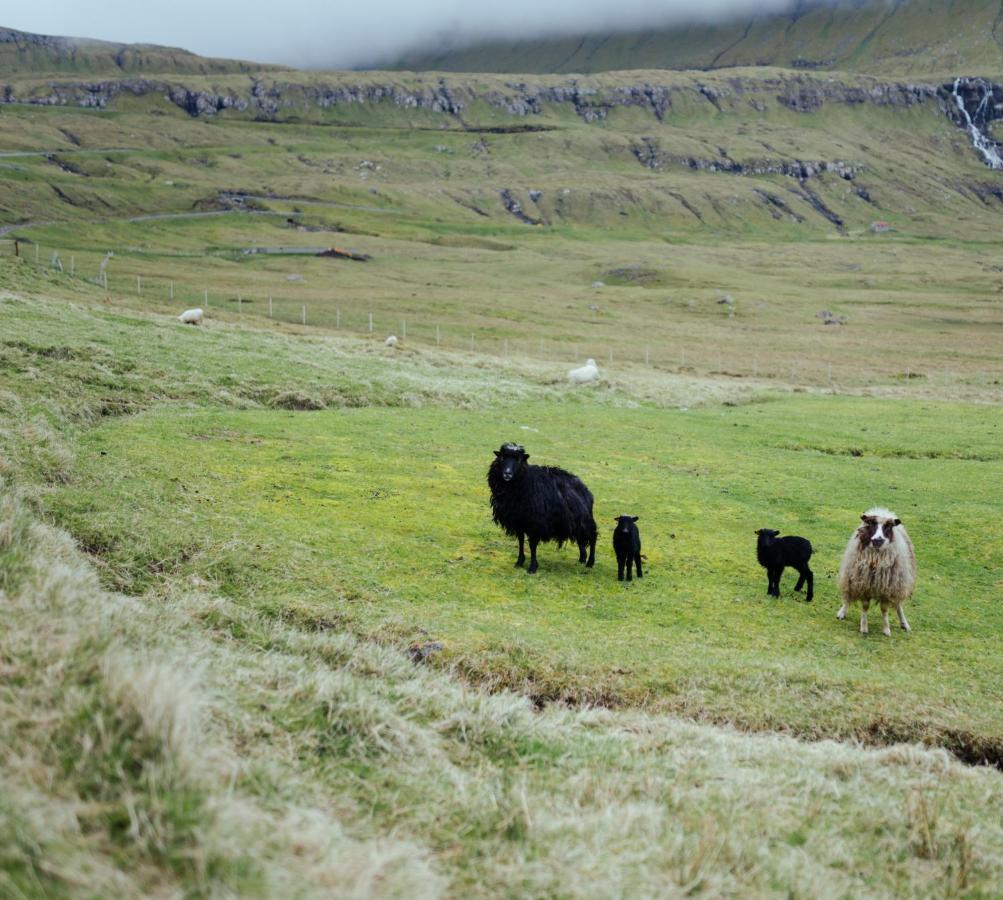 Authentic Faroese House / Unique Location / Nature Hellurnar Esterno foto